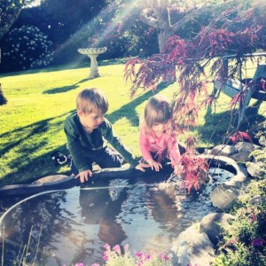 The pond in our new backyard